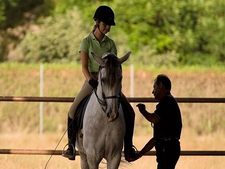 Rafael Soto Clinic 